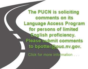 Language Access Plan